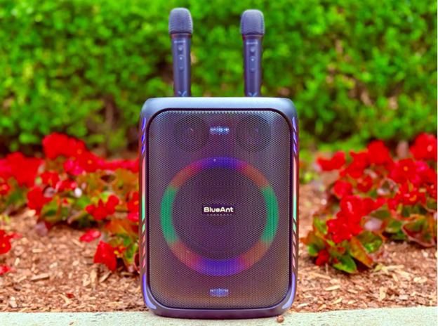 Birthday Parties and House Parties